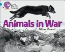 Animale în război - Animals in War