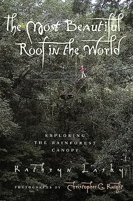 Cel mai frumos acoperiș din lume: Explorarea coronamentului pădurii tropicale - The Most Beautiful Roof in the World: Exploring the Rainforest Canopy