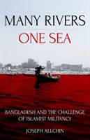 Multe râuri, o mare: Bangladesh și provocarea militantismului islamist - Many Rivers, One Sea: Bangladesh and the Challenge of Islamist Militancy