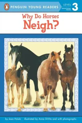 De ce cântă caii? - Why Do Horses Neigh?