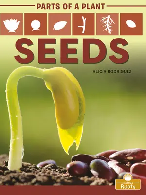 Semințe - Seeds