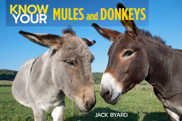 Măgari și catâri - Know Your Donkeys & Mules