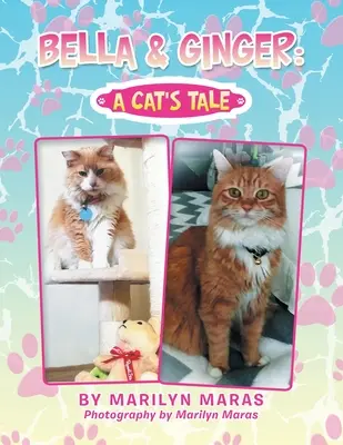 Bella & Ginger: Povestea unei pisici - Bella & Ginger: a Cat's Tale