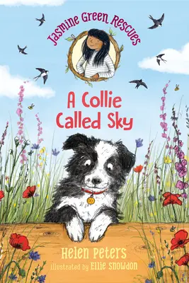 Jasmine Green Rescues: Un Collie numit Sky - Jasmine Green Rescues: A Collie Called Sky