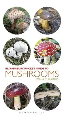 Ghid de buzunar pentru ciuperci (Pocket Guide to Mushrooms) - Pocket Guide to Mushrooms