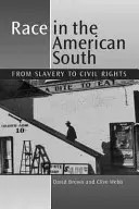Rasa în sudul Americii - De la sclavie la drepturile civile - Race in the American South - From Slavery to Civil Rights