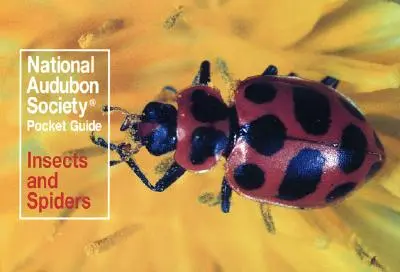 Ghid de buzunar al Societății Naționale Audubon: Insecte și păianjeni - National Audubon Society Pocket Guide: Insects and Spiders