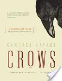 Ciorile: Întâlniri cu băieții înțelepți din lumea păsărilor { Ediția aniversară nr. 10} - Crows: Encounters with the Wise Guys of the Avian World {10th Anniversary Edition}