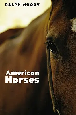 Cai americani - American Horses