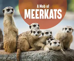 Turmă de suricate - Mob of Meerkats