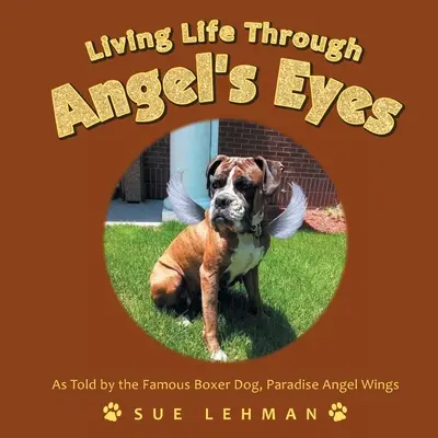 Viața prin ochii lui Angel - Living Life Through Angel's Eyes
