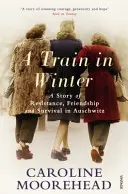 Trenul iarna - O poveste de rezistență, prietenie și supraviețuire la Auschwitz - Train in Winter - A Story of Resistance, Friendship and Survival in Auschwitz