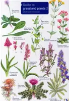 Ghidul plantelor de pășune 2 - Creta și calcarul - Guide to Grassland Plants 2 - Chalk and Limestone