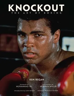 Knockout: Arta boxului - Knockout: The Art of Boxing
