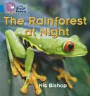 Pădurea tropicală noaptea - The Rainforest at Night