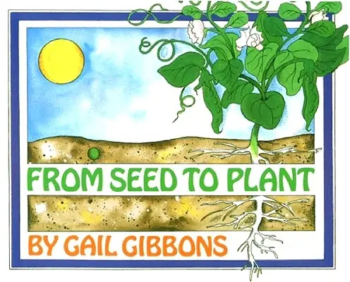 De la sămânță la plantă - From Seed to Plant
