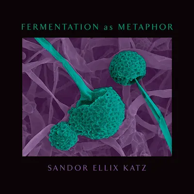 Fermentația ca metaforă: De la autorul bestsellerului The Art of Fermentation - Fermentation as Metaphor: From the Author of the Bestselling the Art of Fermentation
