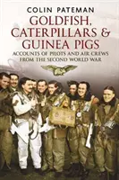 Goldfish Caterpillars & Guinea Pigs - Accounts of Pilots and Air Crews from World War II