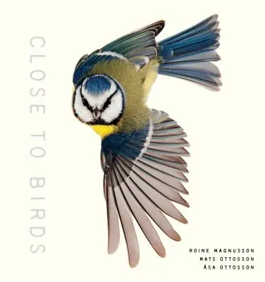 Aproape de păsări: O privire intimă asupra prietenilor noștri cu pene - Close to Birds: An Intimate Look at Our Feathered Friends