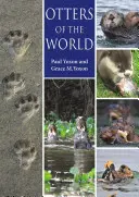 Vidrele din lume - Otters of the World