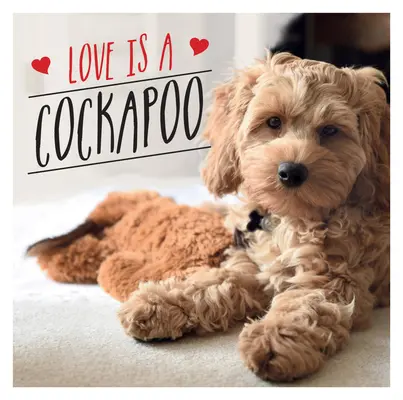 Love Is a Cockapoo: A Dog-Tastic Celebration of the World's Cutest Breed (O sărbătoare canină a celei mai drăguțe rase din lume) - Love Is a Cockapoo: A Dog-Tastic Celebration of the World's Cutest Breed