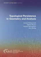 Persistența topologică în geometrie și analiză - Topological Persistence in Geometry and Analysis