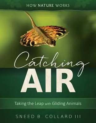 Catching Air: Făcând saltul cu animalele care planează - Catching Air: Taking the Leap with Gliding Animals