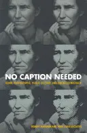 Nu este nevoie de legendă: Fotografii iconice, cultură publică și democrație liberală - No Caption Needed: Iconic Photographs, Public Culture, and Liberal Democracy