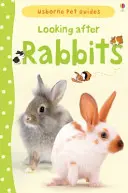 Grijă pentru iepurași - Looking after Rabbits