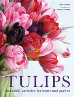 Lalele - soiuri frumoase pentru casă și grădină - Tulips - Beautiful varieties for home and garden