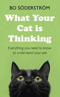 Ce Gândește Pisica Ta: Tot ce trebuie să știți pentru a vă înțelege animalul de companie - What Your Cat Is Thinking: Everything You Need to Know to Understand Your Pet
