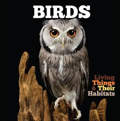 Păsările - Birds