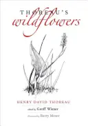 Florile sălbatice ale lui Thoreau - Thoreau's Wildflowers