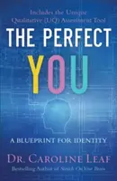 The Perfect You: Un plan pentru identitate - The Perfect You: A Blueprint for Identity