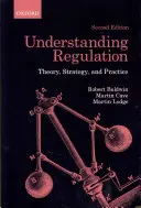 Înțelegerea reglementării: Teorie, strategie și practică - Understanding Regulation: Theory, Strategy, and Practice