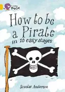 Cum să fii un pirat în 10 etape ușoare - How to Be a Pirate in 10 Easy Stages