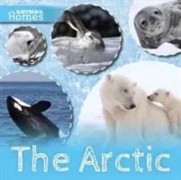 Arctica - Arctic