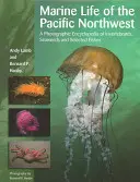 Viața marină din Pacificul de Nord-Vest: O enciclopedie fotografică de nevertebrate, alge marine și pești selectați - Marine Life of the Pacific Northwest: A Photographic Encyclopedia of Invertebrates, Seaweeds and Selected Fishes