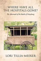Unde au dispărut toate spitalele?: Urmările bătăliei de la Gettysburg - Where Have All the Hospitals Gone?: The Aftermath of the Battle of Gettysburg