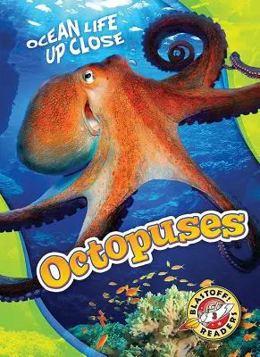 Octopus - Octopuses