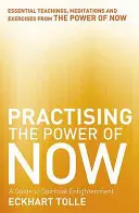 Practicarea puterii prezentului - Meditații, exerciții și învățături de bază din Puterea prezentului - Practising The Power Of Now - Meditations, Exercises and Core Teachings from The Power of Now