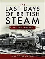 Ultimele zile ale aburului britanic: Un instantaneu al anilor 1960 - The Last Days of British Steam: A Snapshot of the 1960s