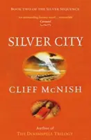 Orașul de argint - Silver City