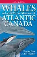 Balene și alte mamifere marine din Canada Atlantică - Whales and Other Marine Mammals of Atlantic Canada