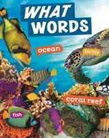 Ce cuvinte - What Words