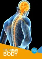 Corpul uman - Human Body