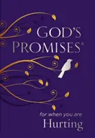 Promisiunile lui Dumnezeu pentru când ești rănit - God's Promises for When You Are Hurting