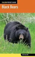 Urși negri - Black Bears