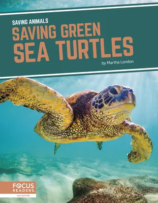Salvarea țestoaselor verzi de mare - Saving Green Sea Turtles
