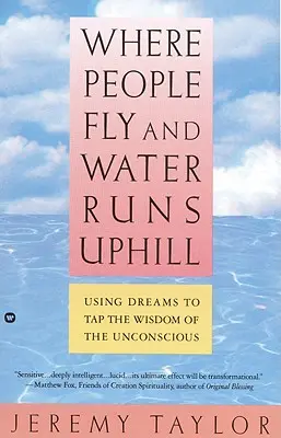 Where People Fly and Water Runs Uphill: Using Dreams to Tap the Wisdom of the Unconscious (Utilizarea viselor pentru a accesa înțelepciunea inconștientului) - Where People Fly and Water Runs Uphill: Using Dreams to Tap the Wisdom of the Unconscious